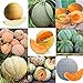 foto Portal Cool 09: 20 Pz/borsa Semi di melone Delicious Melone Seeds Home Garden Plants Ehe8 02 nuovo bestseller 2024-2023