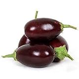 Raavayya Eggplant Seeds (F1 Hybrid from India) VERY Prolific!!!!!(10 - Seeds) Photo, bestseller 2024-2023 new, best price $4.79 review
