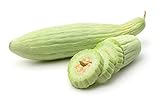 Armenian Yard-Long Cucumber Seeds - Non-GMO - 4 Grams, Approximately 130 Seeds Photo, bestseller 2024-2023 new, best price $5.99 review