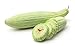 Photo Armenian Yard-Long Cucumber Seeds - Non-GMO - 4 Grams, Approximately 130 Seeds new bestseller 2024-2023