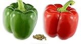 RDR Seeds 100 California Wonder Sweet Pepper Seeds for Planting - Heirloom Non-GMO Pepper Seeds for Planting - Bell Pepper Matures from Green to Red Photo, bestseller 2024-2023 new, best price $5.99 ($0.06 / Count) review
