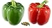 Photo RDR Seeds 100 California Wonder Sweet Pepper Seeds for Planting - Heirloom Non-GMO Pepper Seeds for Planting - Bell Pepper Matures from Green to Red new bestseller 2024-2023