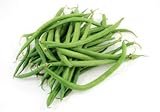 Tendergreen Green Bean Seeds, 50 Heirloom Seeds Per Packet, Non GMO Seeds Photo, bestseller 2024-2023 new, best price $5.79 ($0.12 / Count) review