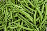 Verde semilla de frijol: Furano haba verde semillas frescas Semilla !!!! (100 + semillas) Foto, éxito de ventas 2024-2023 nuevo, mejor precio 17,40 € revisión