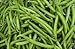 Foto Verde semilla de frijol: Furano haba verde semillas frescas Semilla !!!! (100 + semillas) nuevo éxito de ventas 2024-2023