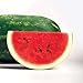 Photo Park Seed Sangria Hybrid Watermelon Seeds, Pack of 10 Seeds new bestseller 2024-2023
