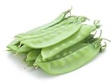 Avalanche Snow Pea Seeds, 50 Heirloom Seeds Per Packet, Non GMO Seeds, Botanical Name: Pisum sativum, Isla's Garden Seeds Photo, bestseller 2024-2023 new, best price $5.99 ($0.12 / Count) review