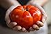 Foto Semillas de tomate / Red jugosa gigante / aprox. 50 semillas / tomate gigante / semillas de hortalizas / autosuficiente nuevo éxito de ventas 2024-2023
