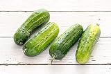 Boston Pickling Cucumber Seeds, 100 Heirloom Seeds Per Packet, Non GMO Seeds, Isla's Garden Seeds Photo, bestseller 2024-2023 new, best price $6.29 ($0.06 / Count) review