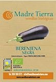 Semillas ecológicas de Berenjena Negra Foto, éxito de ventas 2024-2023 nuevo, mejor precio 9,12 € revisión