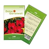 Lein rot Samen - Linum grandiflorum - Leinsamen - Blumensamen - Saatgut für 70 Pflanzen Foto, Bestseller 2024-2023 neu, bester Preis 1,99 € (0,03 € / stück) Rezension