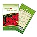Foto Lein rot Samen - Linum grandiflorum - Leinsamen - Blumensamen - Saatgut für 70 Pflanzen neu Bestseller 2024-2023
