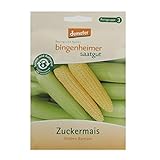 Bingenheimer Saatgut - Zuckermais Golden Bantam - Gemüse Saatgut / Samen Foto, Bestseller 2024-2023 neu, bester Preis 5,00 € (250,00 € / kg) Rezension