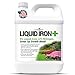 Photo Chelated Liquid Iron +Plus Concentrate Blend, Liquid Iron for Lawns, Plants, Shrubs, and Trees Stunted or Growth and Discoloration Issues – Solve Iron Deficiency and Root Problems – (32 oz.) USA Made new bestseller 2024-2023