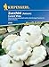 Foto Kiepenkerl 2859 Zucchini Custard White, entwickelt weiße tellerförmige Früchte mit zartem Fleisch, essbar oder als Deko neu Bestseller 2024-2023