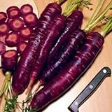 Purple Dragon Carrot 350 Seeds - Absolutely unique! Photo, bestseller 2024-2023 new, best price $1.95 ($0.01 / Count) review