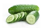 Bush Cucumber Seeds for Planting Outdoors Home Garden - Heirloom Vegetable Seeds - Bush Spacemaster Cucumber Photo, bestseller 2024-2023 new, best price $5.98 review