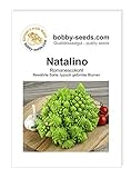 Kohlsamen Natalino Romanesco Portion Foto, Bestseller 2024-2023 neu, bester Preis 1,95 € Rezension