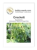 Bohnensamen Crockett fadenlose Buschbohne Portion Foto, Bestseller 2024-2023 neu, bester Preis 2,45 € Rezension