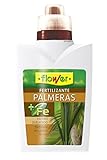 Flower 10561 - Abono líquido Palmeras, 500 ml Foto, éxito de ventas 2024-2023 nuevo, mejor precio 5,95 € revisión