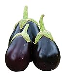 Burpee Early Midnight Eggplant Seeds 35 seeds Photo, bestseller 2024-2023 new, best price $8.58 ($0.25 / Count) review