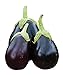 Photo Burpee Early Midnight Eggplant Seeds 35 seeds new bestseller 2024-2023