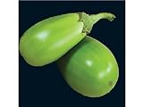 25 APPLEGREEN EGGPLANT Green Fruit / Vegetable Solanum Melongena Seeds Photo, bestseller 2024-2023 new, best price $3.00 ($0.12 / Count) review
