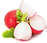 Cherry Belle Radish Seeds | Vegetable Seeds for Planting Outdoor Gardens | Heirloom & Non-GMO | Planting Instructions Included Photo, bestseller 2024-2023 new, best price $6.95 review