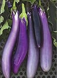 David's Garden Seeds Eggplant Ping Tung Long 7333 (Purple) 50 Non-GMO, Heirloom Seeds Photo, bestseller 2024-2023 new, best price $3.95 review