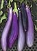Photo David's Garden Seeds Eggplant Ping Tung Long 7333 (Purple) 50 Non-GMO, Heirloom Seeds new bestseller 2024-2023