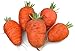 Photo Oxheart Carrot 200 Seeds #8136 Item Upc#650348691721 new bestseller 2024-2023