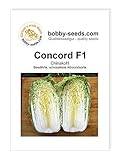 Kohlsamen Concord F1 Chinakohl Portion Foto, Bestseller 2024-2023 neu, bester Preis 1,75 € Rezension