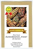 Mais - Zuckermais - Ziermais - Indianermais - Fiesta - 25 Samen Foto, Bestseller 2024-2023 neu, bester Preis 2,39 € (0,10 € / stück) Rezension