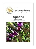 Zwiebelsamen Apache rote Lauchzwiebel Portion Foto, Bestseller 2024-2023 neu, bester Preis 1,75 € Rezension