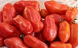 40+ San Marzano Tomato Seeds- Italian Heirloom Variety- Ohio Heirloom Seeds Photo, bestseller 2024-2023 new, best price $4.49 review