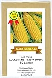 Zuckermais - Mais -Tasty Sweet F1 Hybride - sehr süß - früh reifend - 50 Samen Foto, Bestseller 2024-2023 neu, bester Preis 2,49 € Rezension