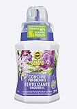 COMPO Fertilizante Orquídeas con guano, Para plantas sensibles, 250 ml Foto, éxito de ventas 2024-2023 nuevo, mejor precio 3,95 € revisión