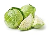 Late Flat Dutch Cabbage Seeds, 1000 Heirloom Seeds Per Packet, Non GMO Seeds, Botanical Name: Brassica oleracea VAR. capitata, Isla's Garden Seeds Photo, bestseller 2024-2023 new, best price $5.89 ($0.01 / Count) review