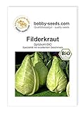 BIO-Kohlsamen Filderkraut Weißkohl Portion Foto, Bestseller 2024-2023 neu, bester Preis 2,35 € Rezension