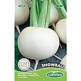 Germisem Snowball Semillas de Remolacha 20 g, EC9007 Foto, éxito de ventas 2024-2023 nuevo, mejor precio 2,21 € revisión