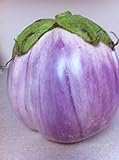 Rosa Bianca Eggplant Seeds- Heirloom- 100+ Seeds Photo, bestseller 2024-2023 new, best price $2.99 review