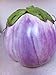 Photo Rosa Bianca Eggplant Seeds- Heirloom- 100+ Seeds new bestseller 2024-2023