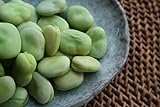 Broad Windsor Pole Fava Bean Seeds - Non-GMO Photo, bestseller 2024-2023 new, best price $5.99 ($5.45 / Ounce) review