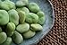 Photo Broad Windsor Pole Fava Bean Seeds - Non-GMO new bestseller 2024-2023