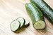 Photo Burpless #26 Hybrid Cucumber Seeds new bestseller 2024-2023