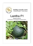 Melonensamen Lantha F1 Wassermelone Portion Foto, Bestseller 2024-2023 neu, bester Preis 2,75 € Rezension