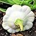 Photo TomorrowSeeds - Early White Patty Pan Seeds - 20+ Count Packet - Bush Scallop Summer Squash Patisson Custard Scallopini Vegetable Seed for new bestseller 2024-2023