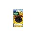 Foto Vilmorin - Paquete semillas Sol girasol flor gigante nuevo éxito de ventas 2024-2023