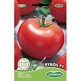 Germisem Pyros F1 Semillas de Tomate 0.1 g, EC8007 Foto, éxito de ventas 2024-2023 nuevo, mejor precio 3,68 € revisión