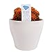 Photo Costa Farms, Premium Live Indoor Desert Gems Orange Cacti, Tabletop Plant, White Gloss Euro Ceramic Decorator Pot, Shipped Fresh From Our Farm, Excellent Gift new bestseller 2024-2023